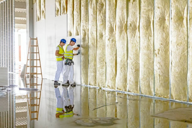 Best Insulation Maintenance and Repair in Hayfork, CA